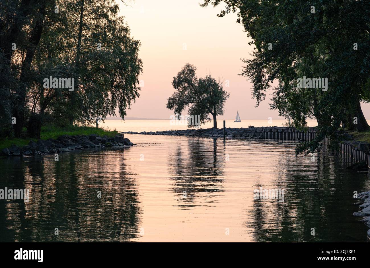 Nach Sonnenuntergang Alten Rhein und Bodensee Stockfoto