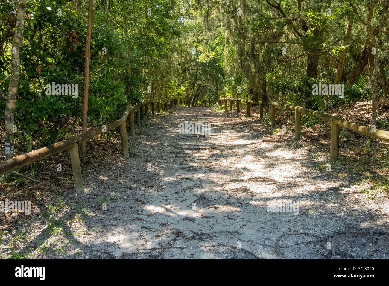 Historische Militärstraße in Fort Clinch im Fort Clinch State Park an der Nordspitze von Amelia Island in Fernandina Beach, Florida. (USA) Stockfoto