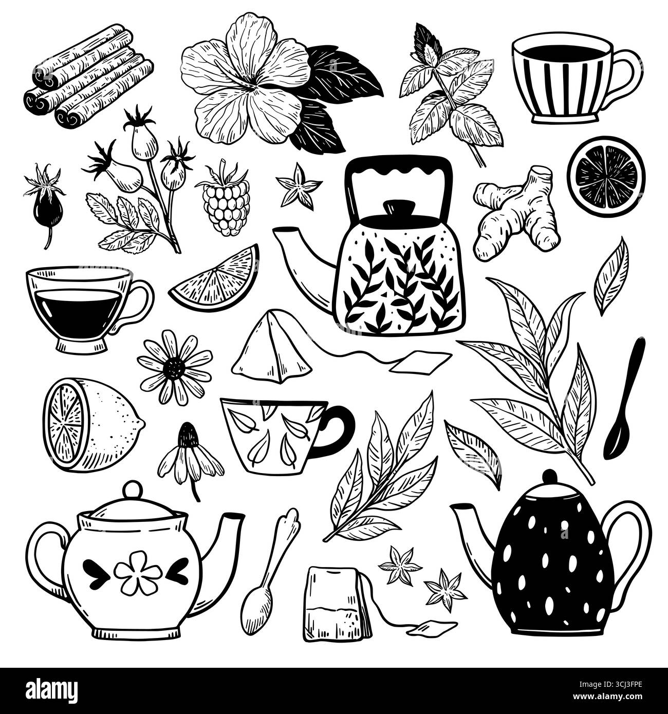 Teekannen, Teetassen, Pflanzen und Kräuter. Große Kollektion an Designelementen in schwarz-weiß-handgezeichnetem Design für Menü- und Verpackungsdesign. Stock Vektor