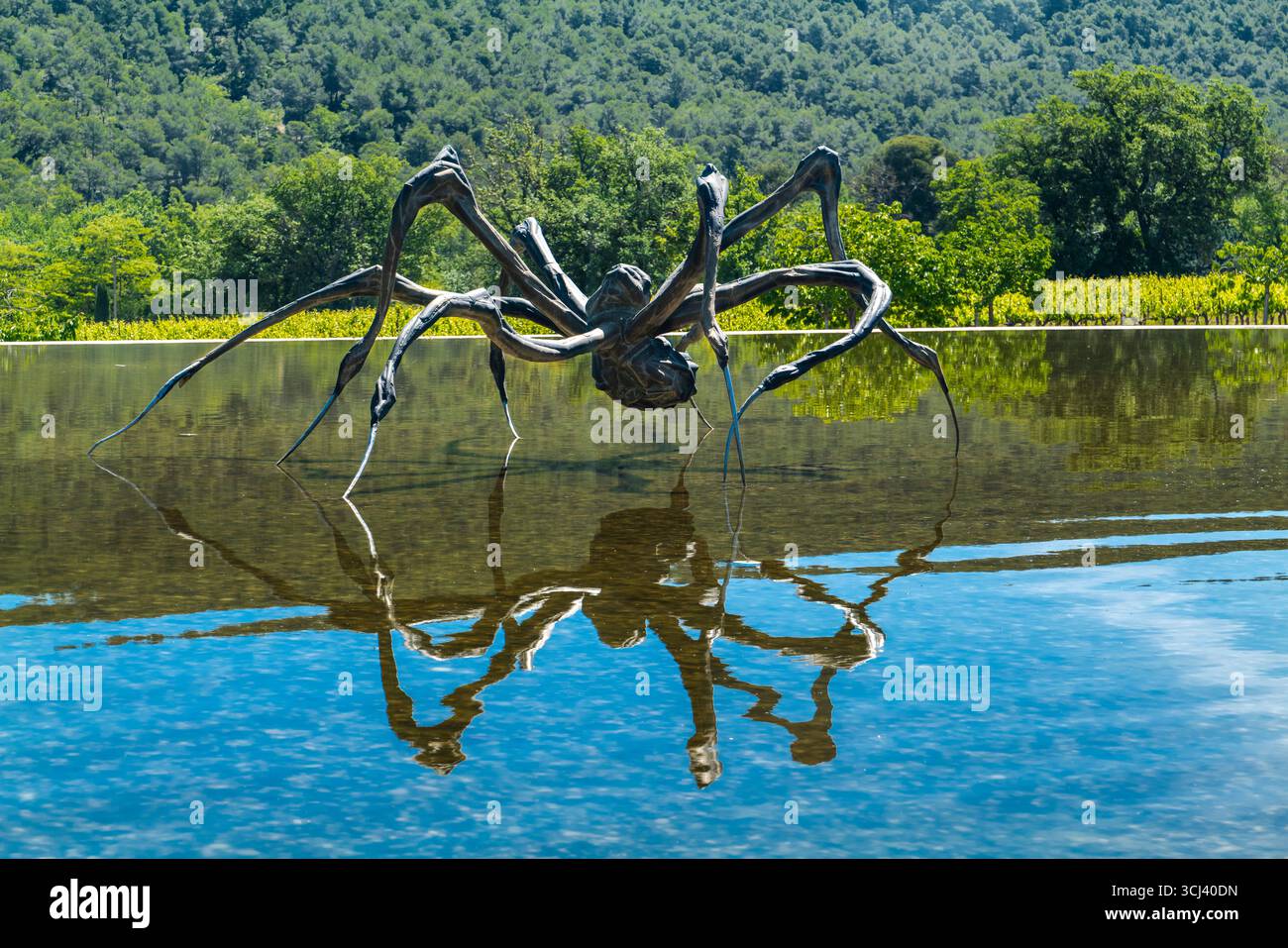 HOCKSPINNE (2003) LOUISE BOURGEOIS (1911-2010) CHATEAU LA COSTE LE PUY-SAINTE-REPARADE PROVENCE FRANKREICH Stockfoto