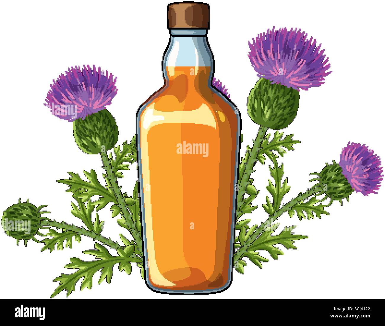Vektor-Illustration der bernsteinfarbenen Whiskyflasche mit blühenden lila Disteln in einem lebendigen, sauberen Stil. Stock Vektor