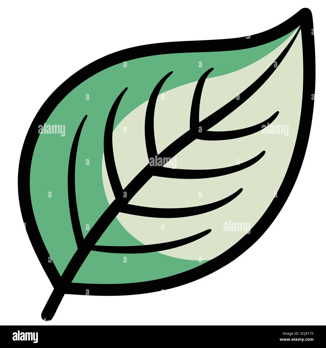 Eine klare, stilisierte Illustration eines grünen Blattes mit kräftigen schwarzen Umrissen, die ein einfaches, aber elegantes Design mit natürlichen Farbvariationen zeigt. Stock Vektor