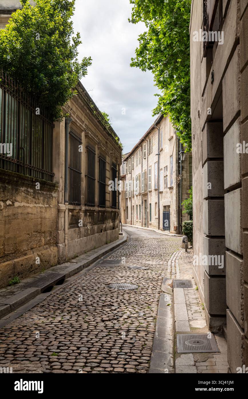 AVIGNON PROVENCE FRANKREICH Stockfoto
