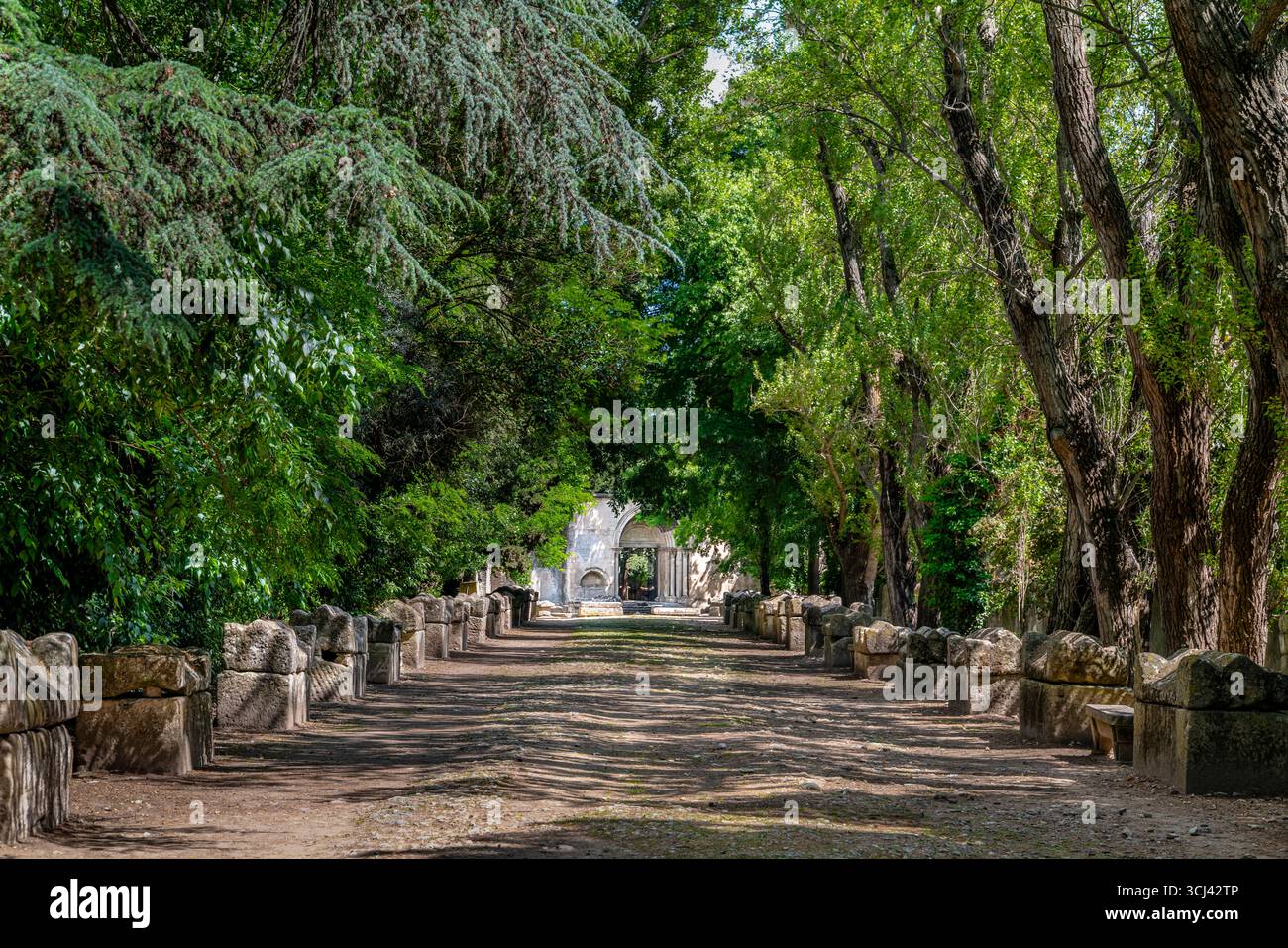 ALYSCAMPS RÖMISCHE NEKROPOLE (300 N. CHR.) ARLES PROVENCE FRANKREICH Stockfoto
