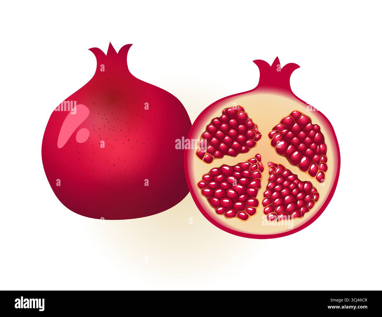 Kreativer, saftiger Granatapfel in 3D. Granatapfel im Schnitt mit Samen. Zeichentrickstil. Digitale Vektorillustration mit Farbeffekten und isoliertem Beschneiden Stock Vektor