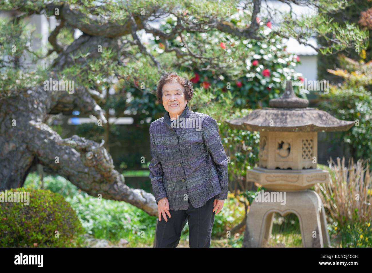Eine Frau in einem lila Hemd steht vor einer Steinlaterne. Die Szene ist friedlich und ruhig, die Frau posiert für ein Foto vor dem Lange Stockfoto