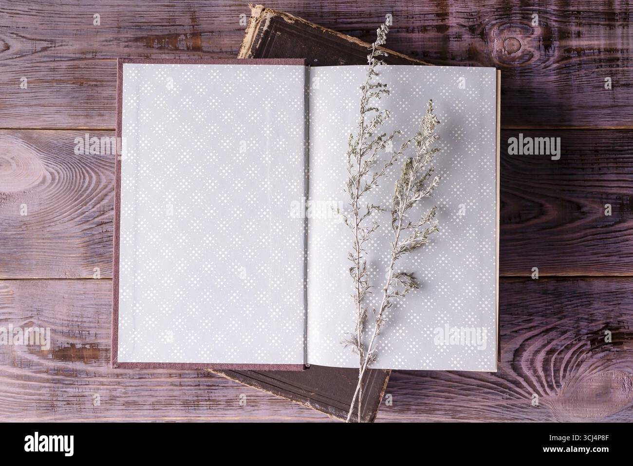 Öffnen Sie das Buch Wermutzweig auf hölzernem Hintergrund Stockfoto