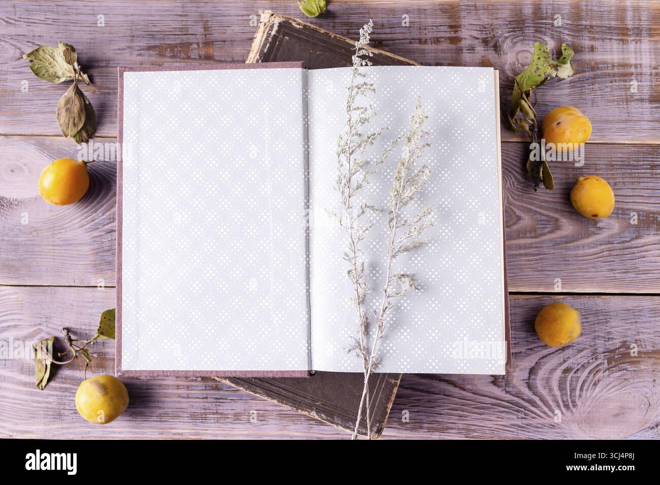 Öffnen Sie das Buch Wermutzweig auf hölzernem Hintergrund Stockfoto