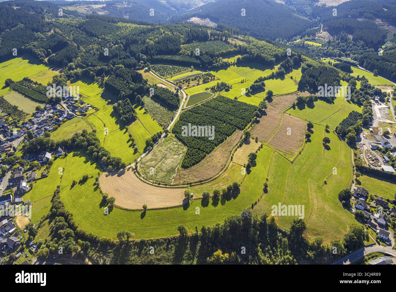 Vogelperspektive, Weihnachtsbaumkultivierungsfelder, Heinsberg, Kirchhundem, Sauerland, Nordrhein-Westfalen, Deutschland, Anbau, Bäume, DE, Europa, ae Stockfoto