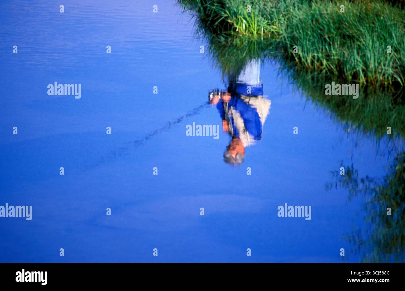 Der ältere Mann fischt auf Forellen am West Fork des Carson River, CA. Stockfoto