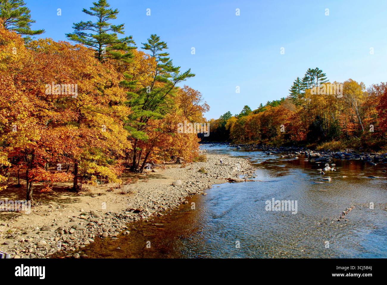 Malerischer Fluss, der durch einen Wald in Maine fließt Stockfoto