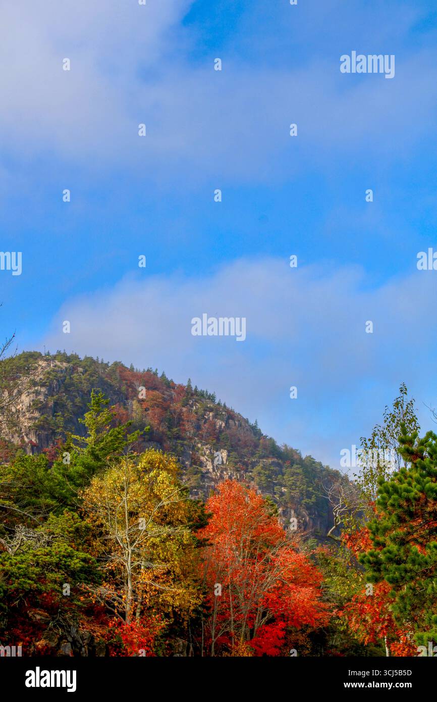 Berg in Acadia bedeckt mit Herbstfarben Stockfoto