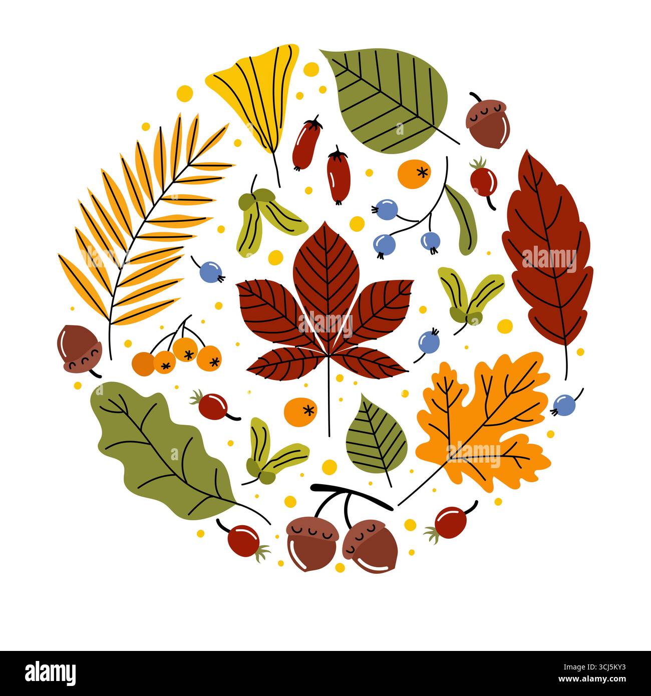 Das leuchtende kreisförmige Design zeigt verschiedene Herbstblätter und Beeren, die die satten Farben des Herbstes zeigen. Das Kunstwerk fängt das Wesen der Meere ein Stock Vektor