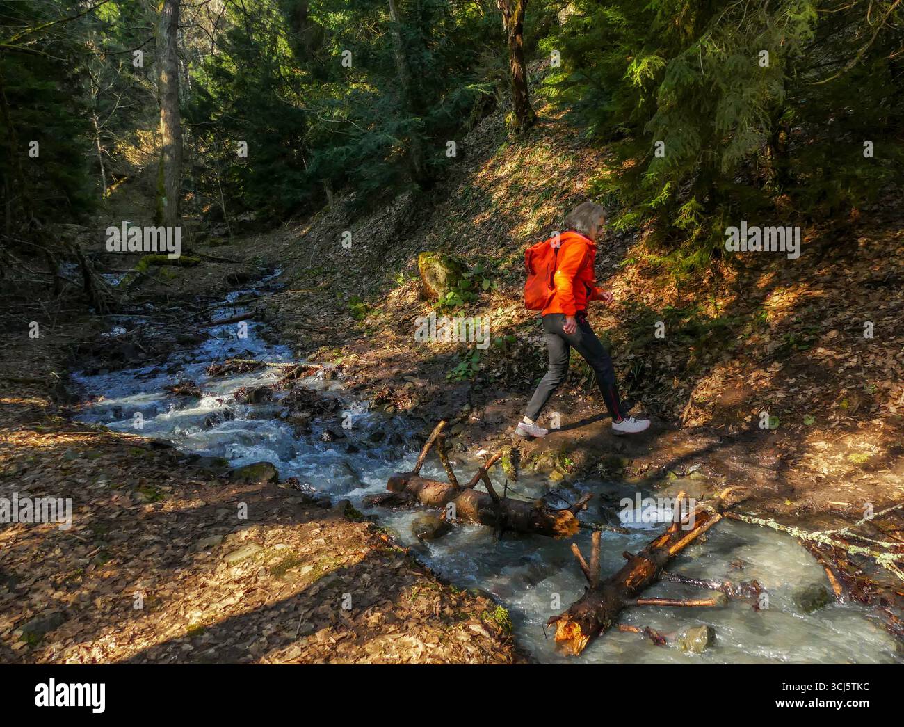 Überquert einen Bergbach - eine deutsche Frau mittleren Alters führt einen aktiven Lebensstil und spaziert an warmen Frühlingstagen in den Bergen. Vielleicht in Bayern Stockfoto