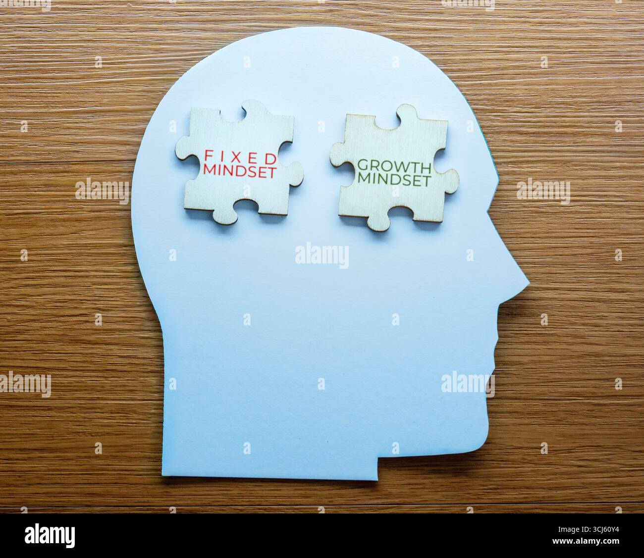 Ein menschlicher Kopf-förmiger Ausschnitt mit Puzzleteilen mit den Aufschriften „FIXED MINDSET“ und „GROWTH MINDSET“. Psychologische und unterschiedliche Denkweisen. Stockfoto