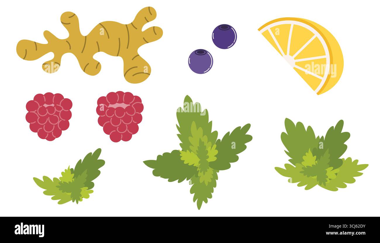 Set aus bunten Früchten und Kräutern – Ingwer, Himbeere, Zitrone, Heidelbeere und Minze im flachen Cartoon-Stil. Perfekt für Getränkegeschmack, Menü Stock Vektor Set aus bunten Früchten und Kräutern – Ingwer, Himbeere, Zitrone, Heidelbeere und Minze im flachen Cartoon-Stil. Perfekt für Getränkegeschmack, Menü Stock Vektor