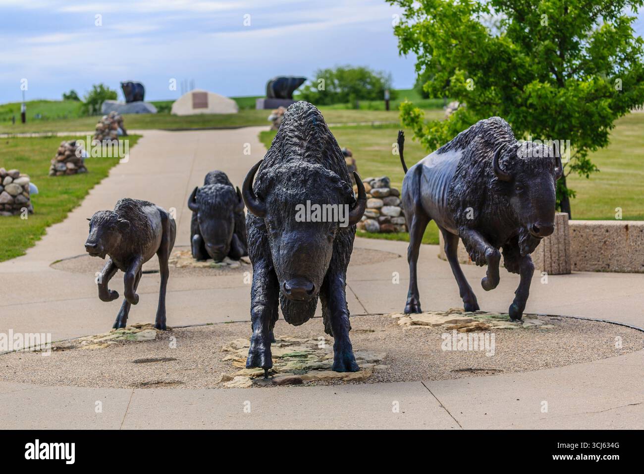 Buffalo-Statuen im Wanuskewin Heritage Park in Saskatoon, Kanada Stockfoto