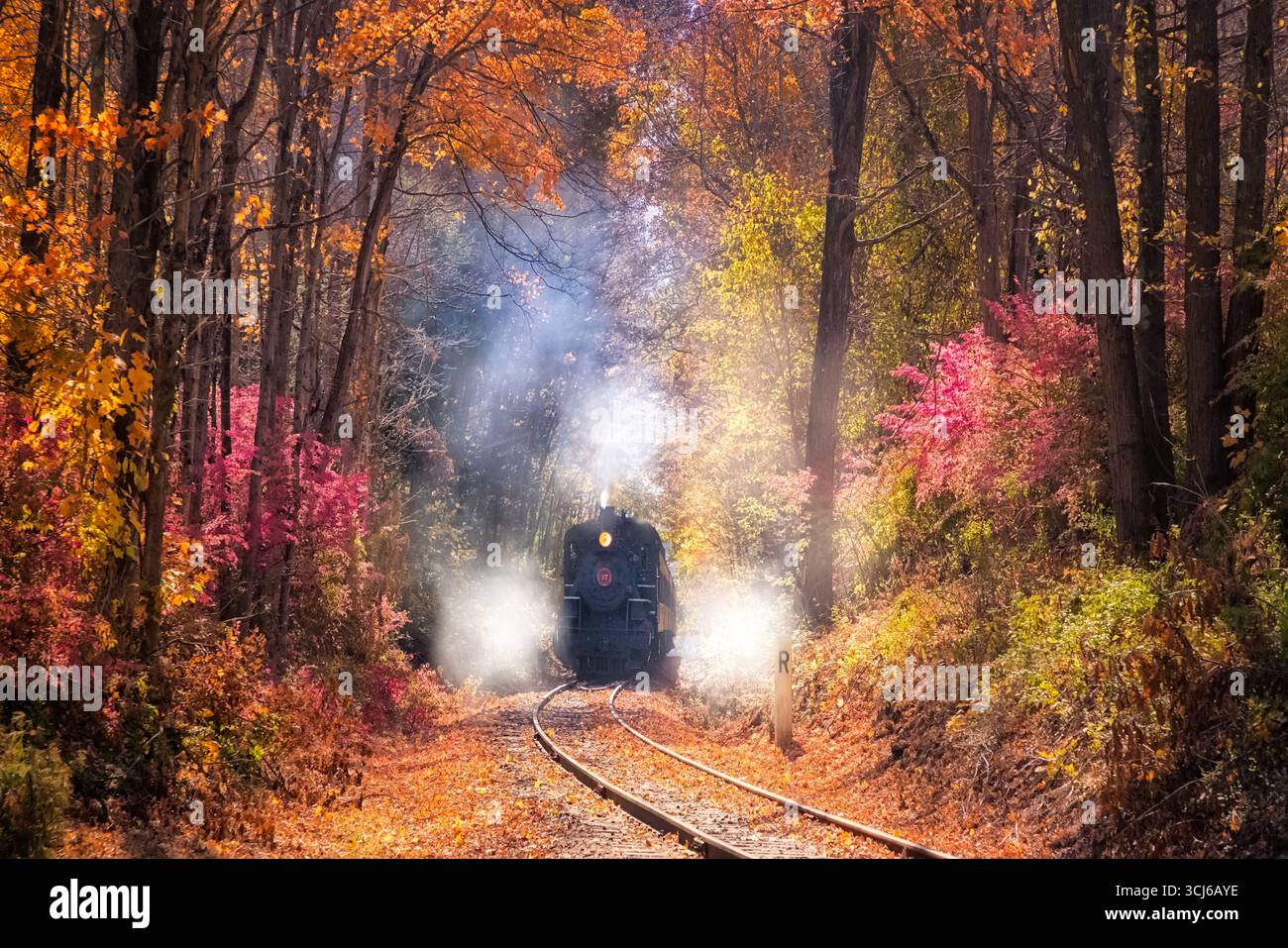 No 97 Lokomotive Fall - Blick auf die fahrende Dampfeisenbahn, umgeben von den warmen Farben des Herbstes in Neuengland Stockfoto