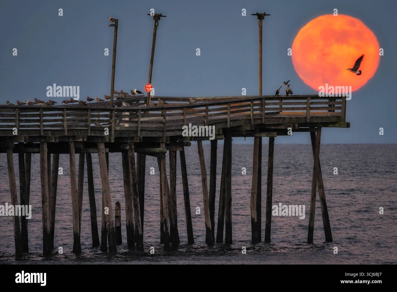 Virginia Beach Pier und Vollmond Stockfoto
