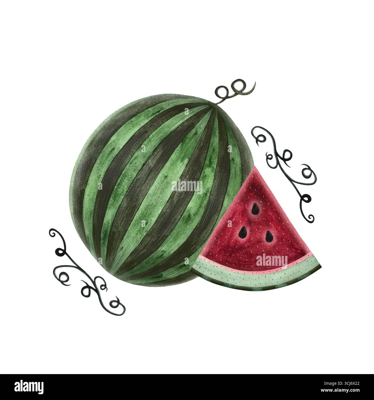 Wassermelonen-Illustration. Ganze Wassermelone, Locken auf weißem Hintergrund schneiden. Perfekt für Sommermotive, kulinarische Illustrationen oder verspielte Projekte Stockfoto