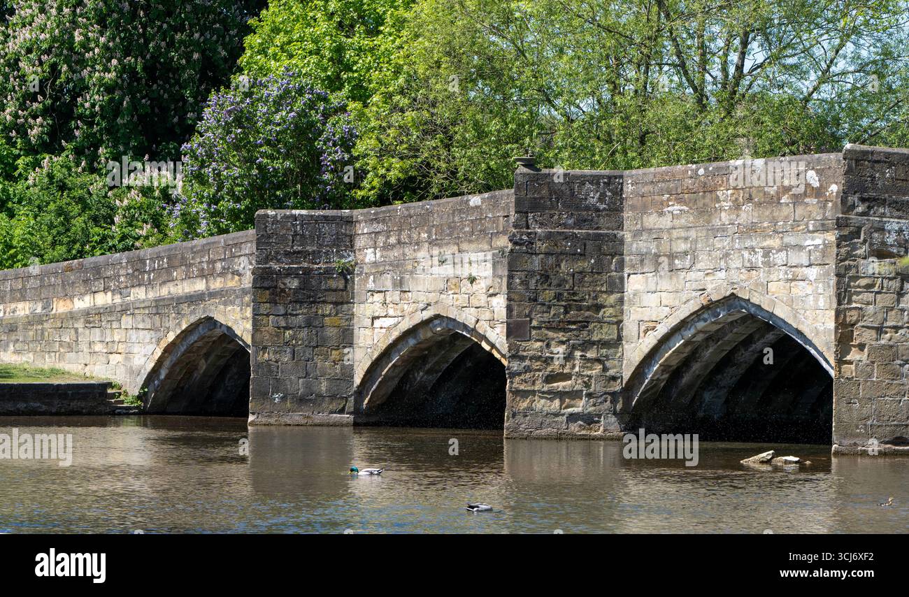Die Bakewell Bridge über den Fluss Wye, Bakewell, Derbyshire, England, Großbritannien - Klasse I gelistet Stockfoto