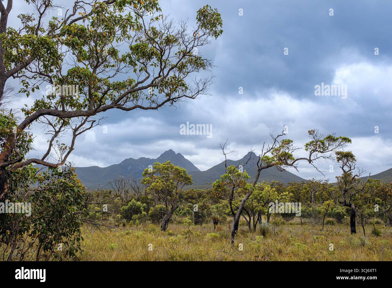 Die Stirling Range nördlich von Albany, Western Australia Stockfoto