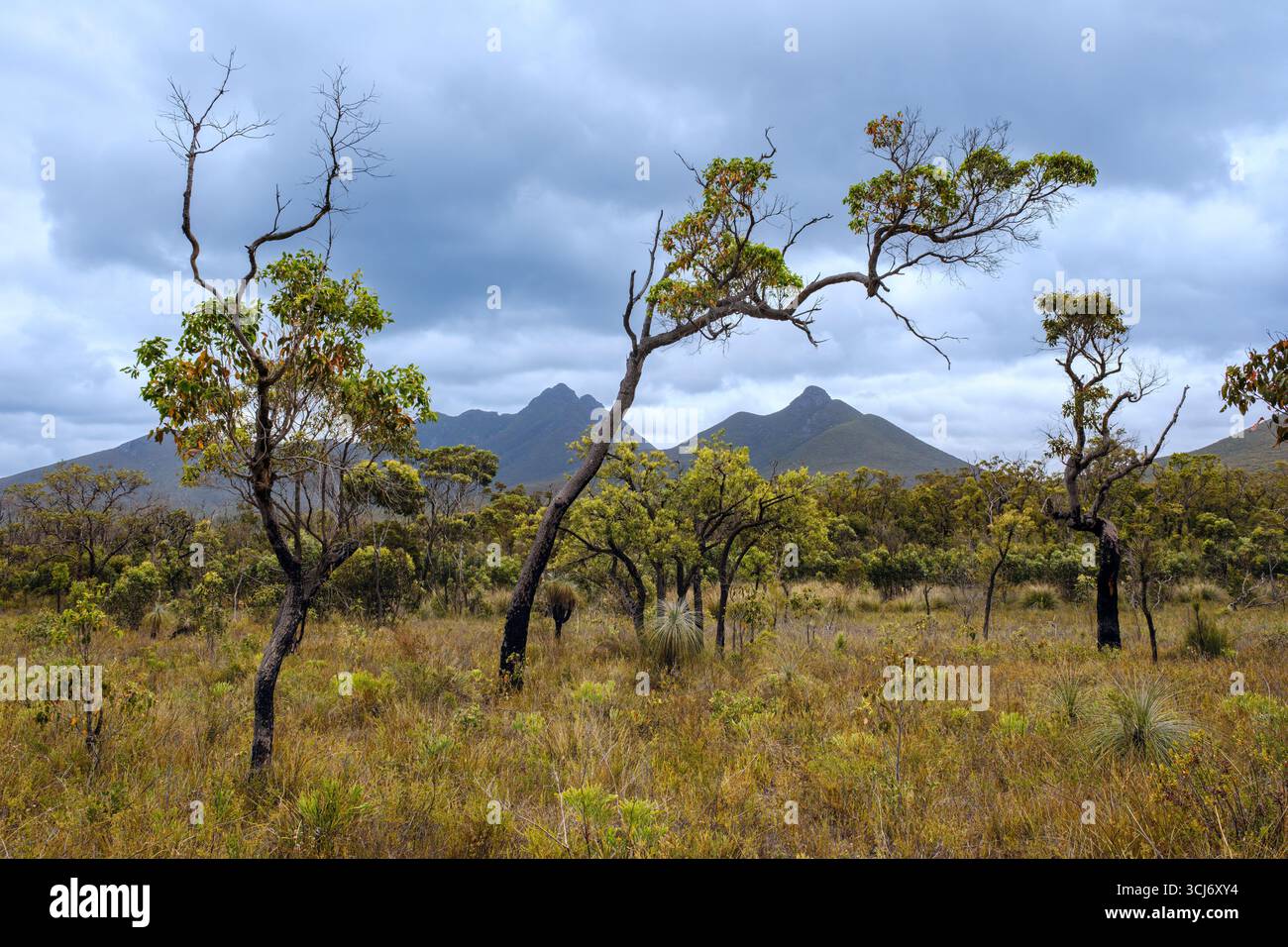 Die Stirling Range nördlich von Albany, Western Australia Stockfoto