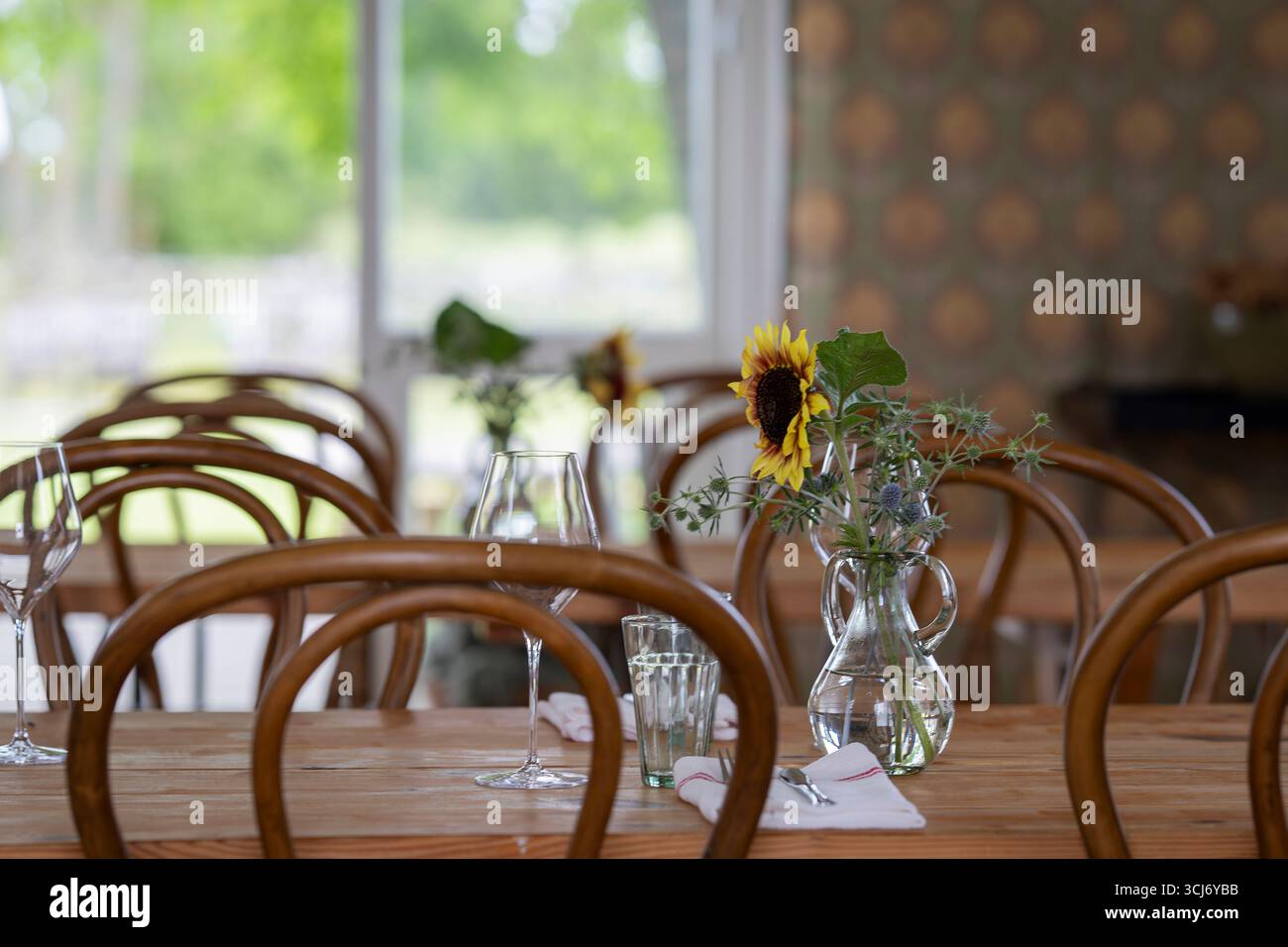 Holztisch für Gäste bereit. Holztisch mit Gläsern, Gabeln, Serviette. Eleganter Esstisch mit Sonnenblume (Helianthus annuus). Stockfoto