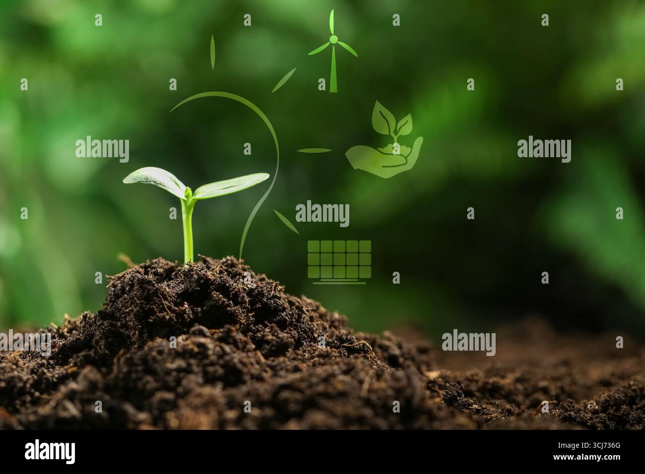 Elektrizität und Natur. Grüne Pflanze im Boden im Freien. Glühlampenkontur und verschiedene Symbole Stockfoto