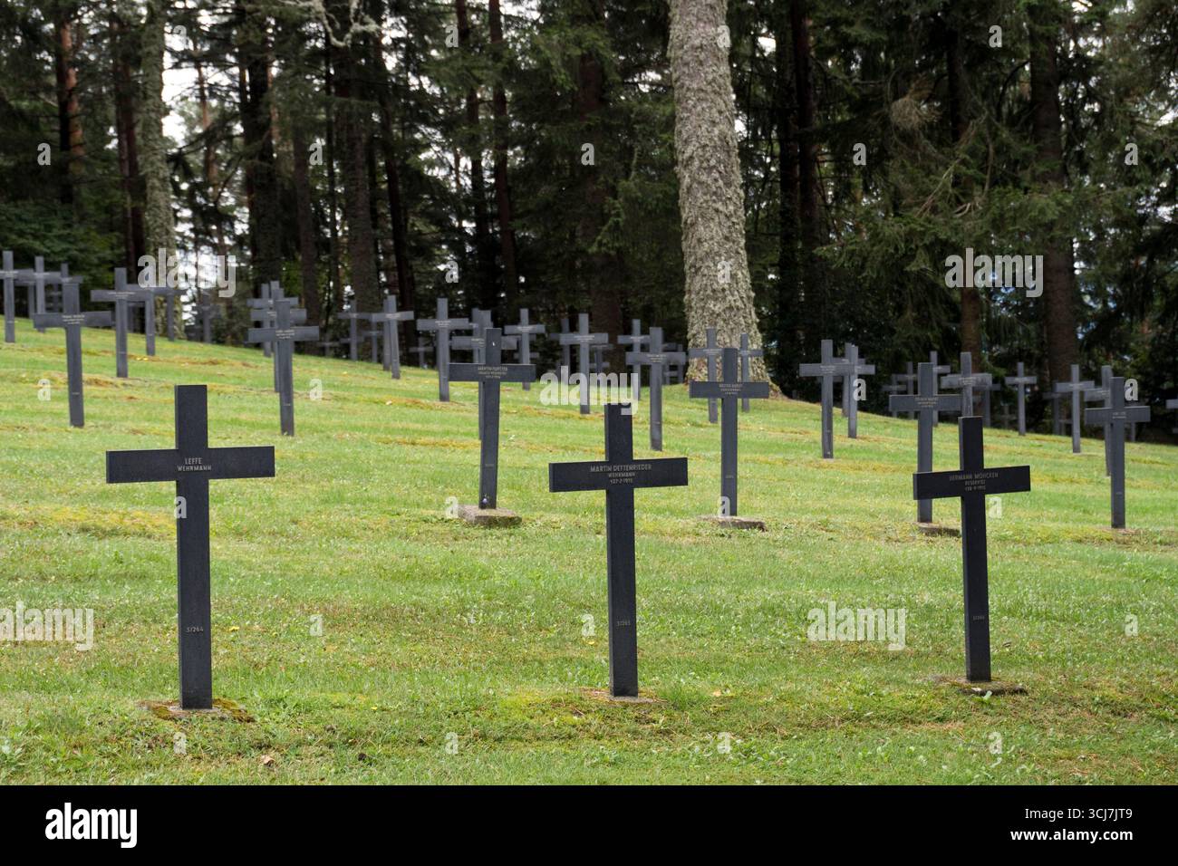 Eiserne Kreuze markieren Gräber deutscher Soldaten aus dem Ersten Weltkrieg auf dem Hohrod-deutschen Militärfriedhof in der Nähe der Linge-Gedenkstätte in den Vogesen. Stockfoto