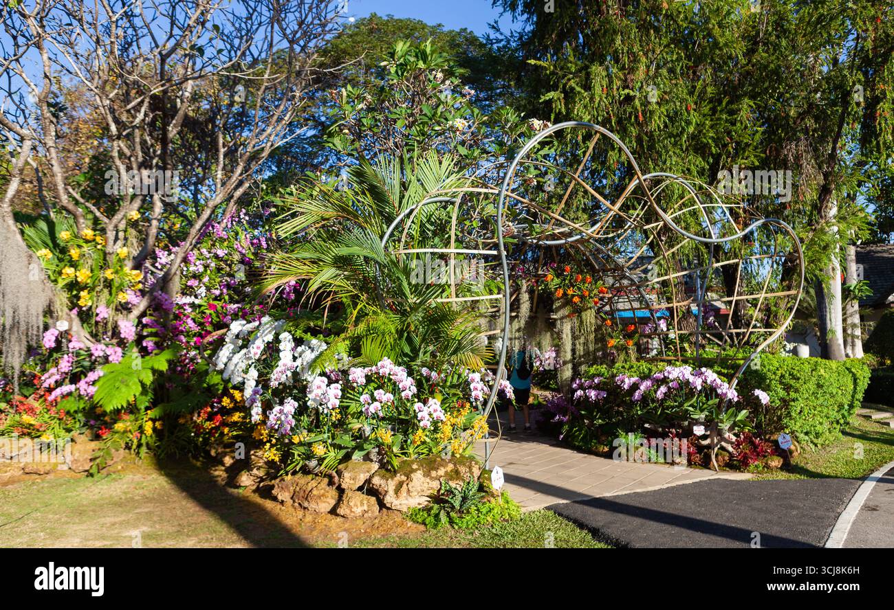 Chiang Mai Blumenfest. Wunderschöner botanischer Bogen und Orchideenblumen. Stockfoto