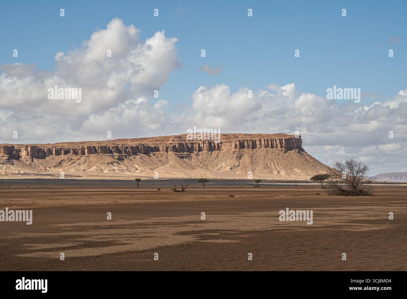 Flaches felsiges Plateau in der marokkanischen Wüste mit steilen Klippen, die sich über trockener brauner Ebene erheben, und verstreuten Bäumen unter blauem Himmel mit Panoramablick auf die Wolken Stockfoto