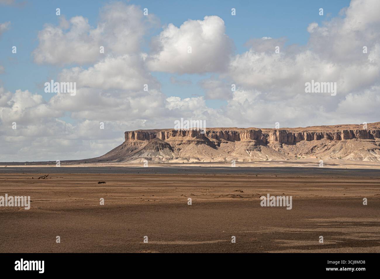 Steiles wüstenmesa in Marokko mit geschichteten Felsklippen, trockener Ebene darunter und verstreuten Bäumen unter breitem Himmel, gefüllt mit weißen, treibenden Wolken darüber Stockfoto