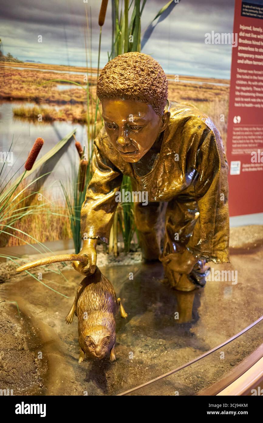Eine Ausstellung im Harriet Tubman Underground Railroad State Park and Visitor Center zeigt eine junge Harriet Tubman, die Muskraten gefangen hat. Stockfoto