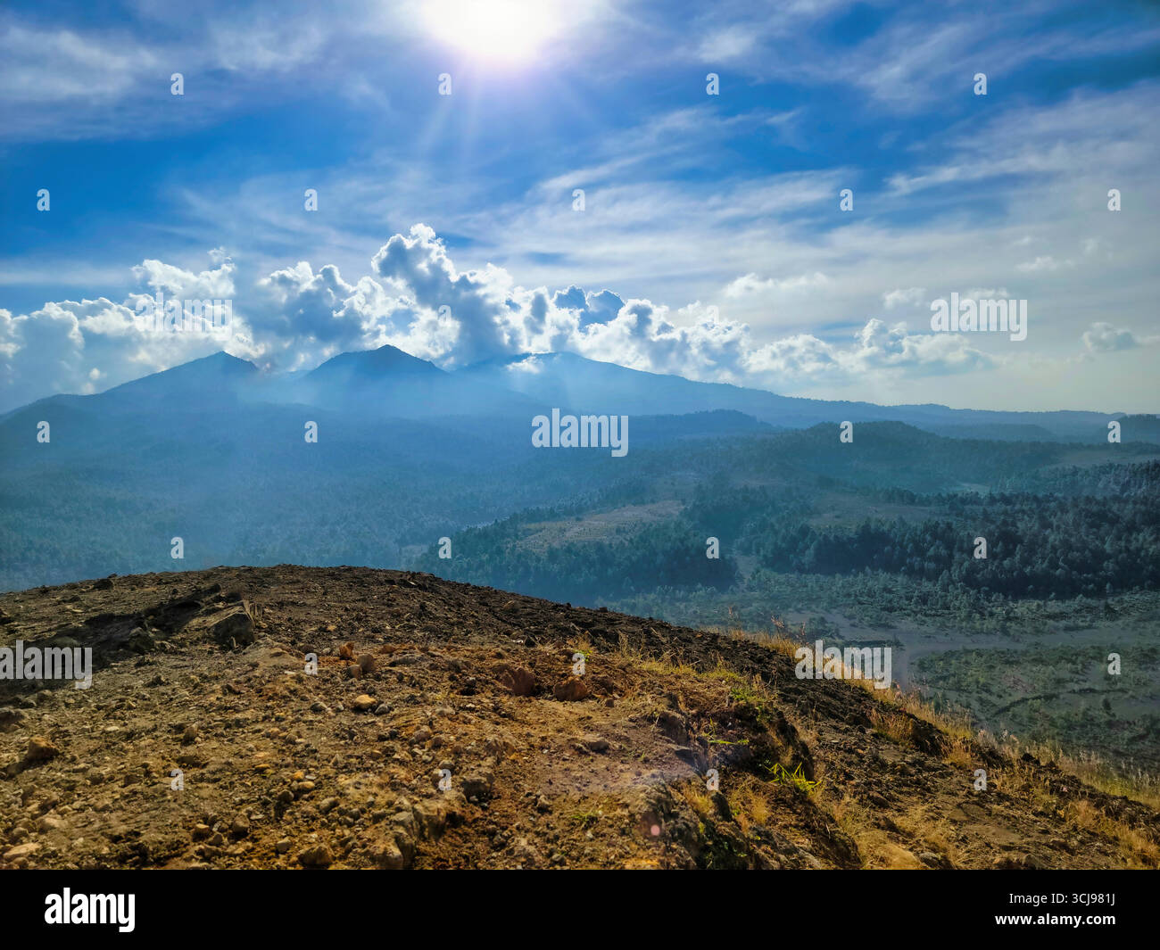 Der Schwarzwald dichte Wald mit malerischen Wegen und sanften Hügeln, Baden-Württemberg, Deutschland Stock Vektor