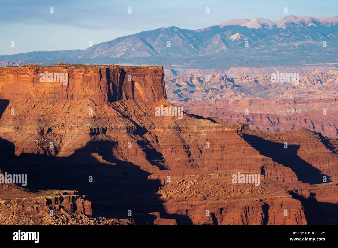 Ein majestätischer Panoramablick auf eine weitläufige Canyon-Landschaft im amerikanischen Südwesten, möglicherweise Canyonlands National Park, unter einem klaren blauen Himmel. Die Stockfoto