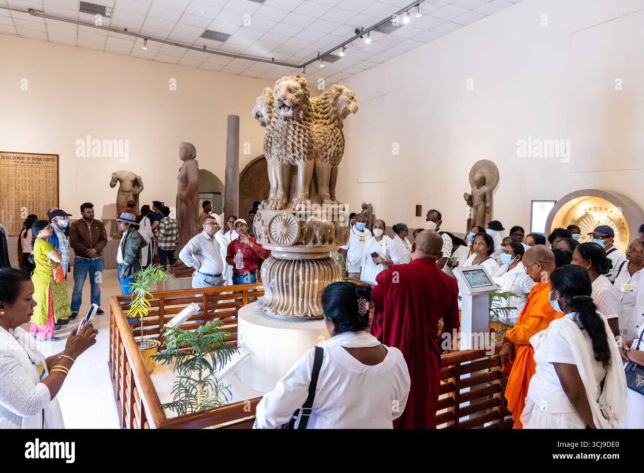 Das nationale Wappen Indiens zeigt vier asiatische Löwen. Im sarnath Museum uttar pradesh ind ist ein Innenbild zu sehen Stockfoto