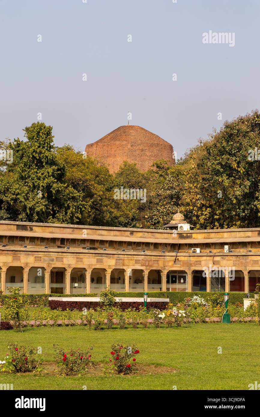 sarnath archäologisches Museum mit sarnath Stupa bei Tageslicht aus flacher Perspektive Aufnahme im Sarnath Museum, Sarnath uttar pradesh indien auf Fe Stockfoto