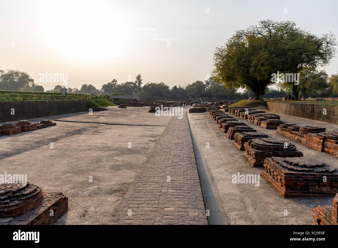 Antike buddhistische Ruinen an der heiligen Stätte sarnath im Tagesbild werden im Sarnath Museum, Sarnath uttar pradesh indien am 18. Februar 2025 aufgenommen. Stockfoto