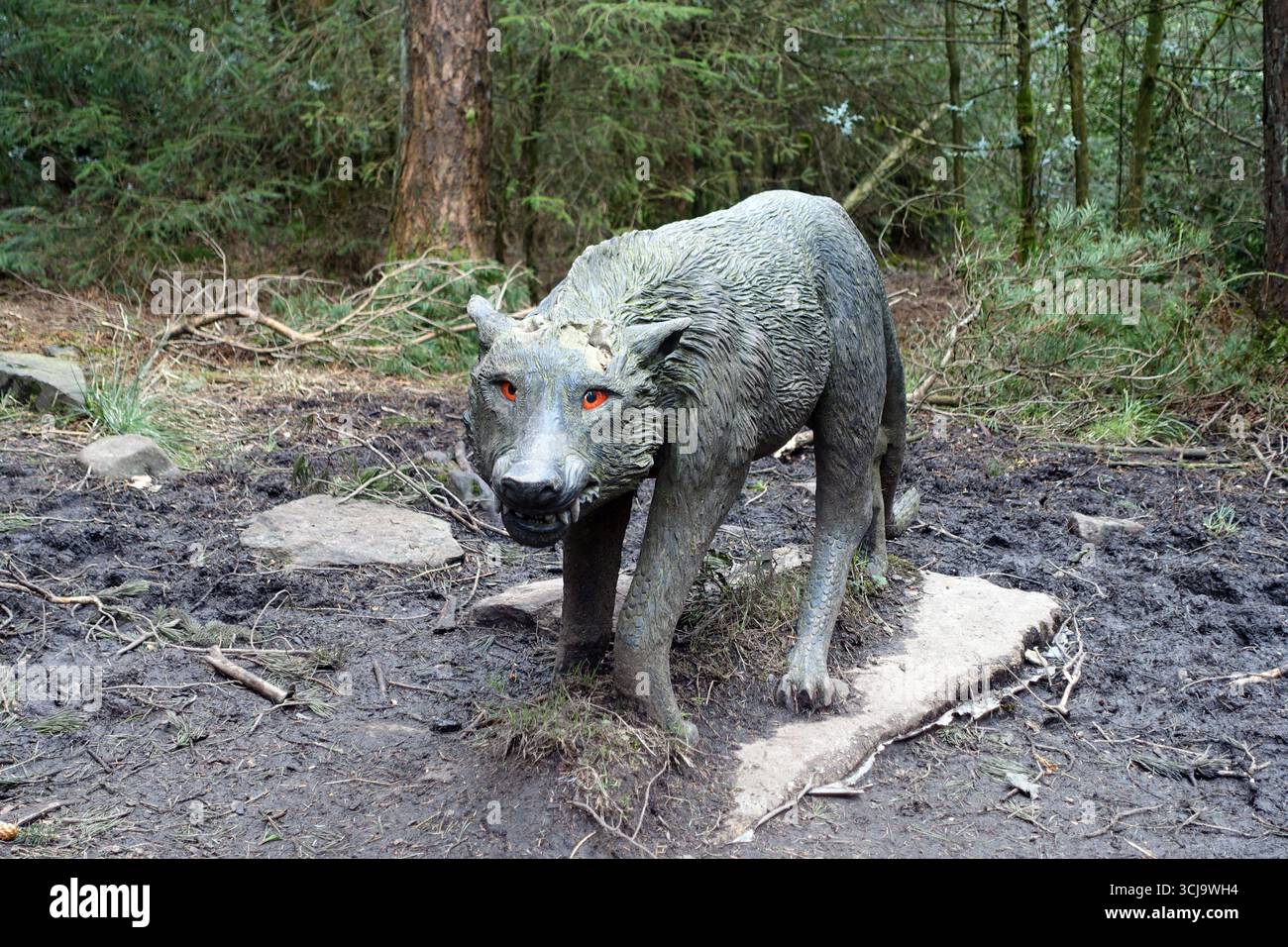 Wooden Wolf Skulptur mit roten Augen auf dem Pendle Sculpture Trail in Aitken Wood bei Barley in Lancashire, England, Großbritannien. Stockfoto