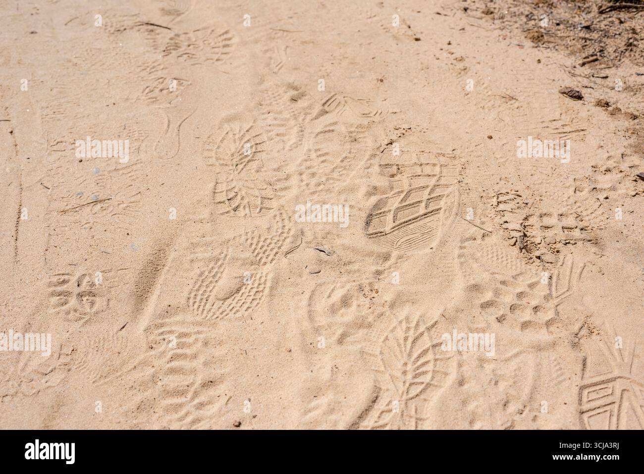 Zahlreiche verschiedene Fußabdrücke sind in den feinen Sand eingeprägt, was auf die jüngsten Besucher dieser ruhigen Strandgegend hinweist. Stockfoto