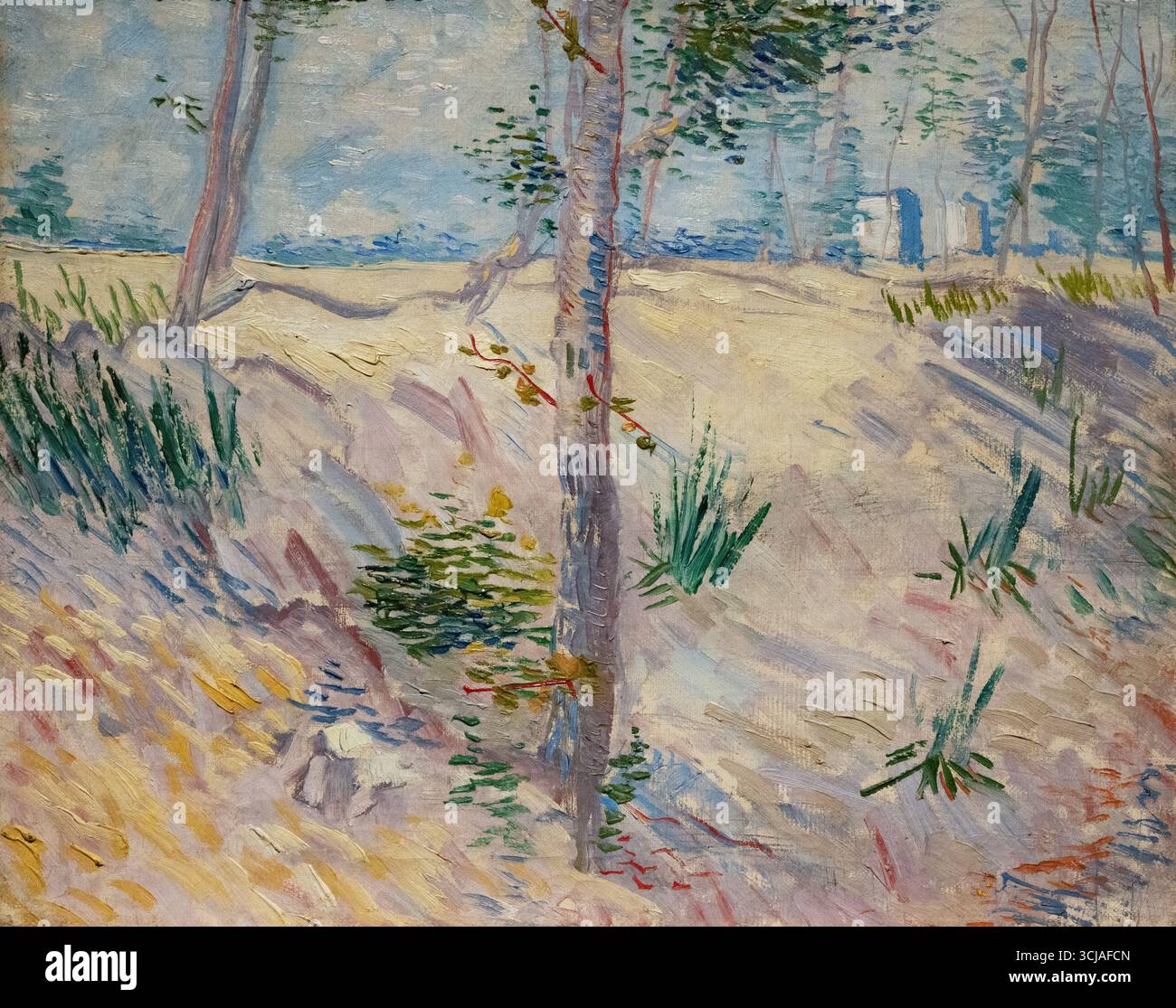Vincent van Gogh „Riverbank with Trees“ 1887, Van Gogh Gemälde, seine-Ufer in Asnieres bei Paris. Öl auf Leinwand. Postimpressionismus 1800er Jahre Stockfoto