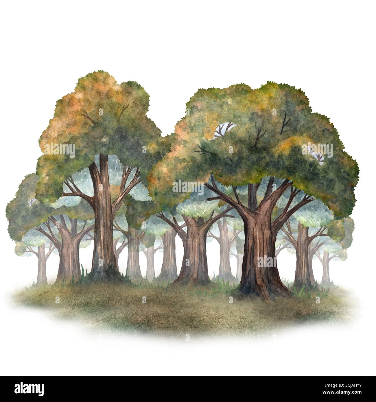 Aquarell Eiche Waldlichtung Illustration, ideal für natürliche Hintergründe, Tapeten, Buchdesign und Landschaftsprojekte Stockfoto