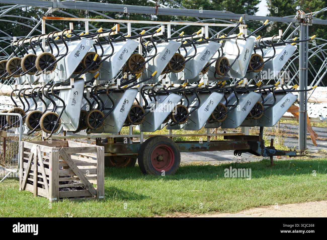 Gestapelte Schubkarren, die ordentlich auf einem Anhänger im Außenbereich angeordnet sind. Milford, England Stockfoto