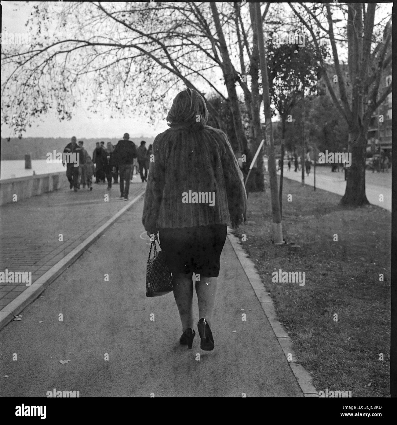 Militärparade in Novi Sad, Serbien, fotografiert mit einer Hasselblad-Kamera mit 30 Jahren abgelaufenem und beschädigtem Schwarzweißfilm. Stockfoto