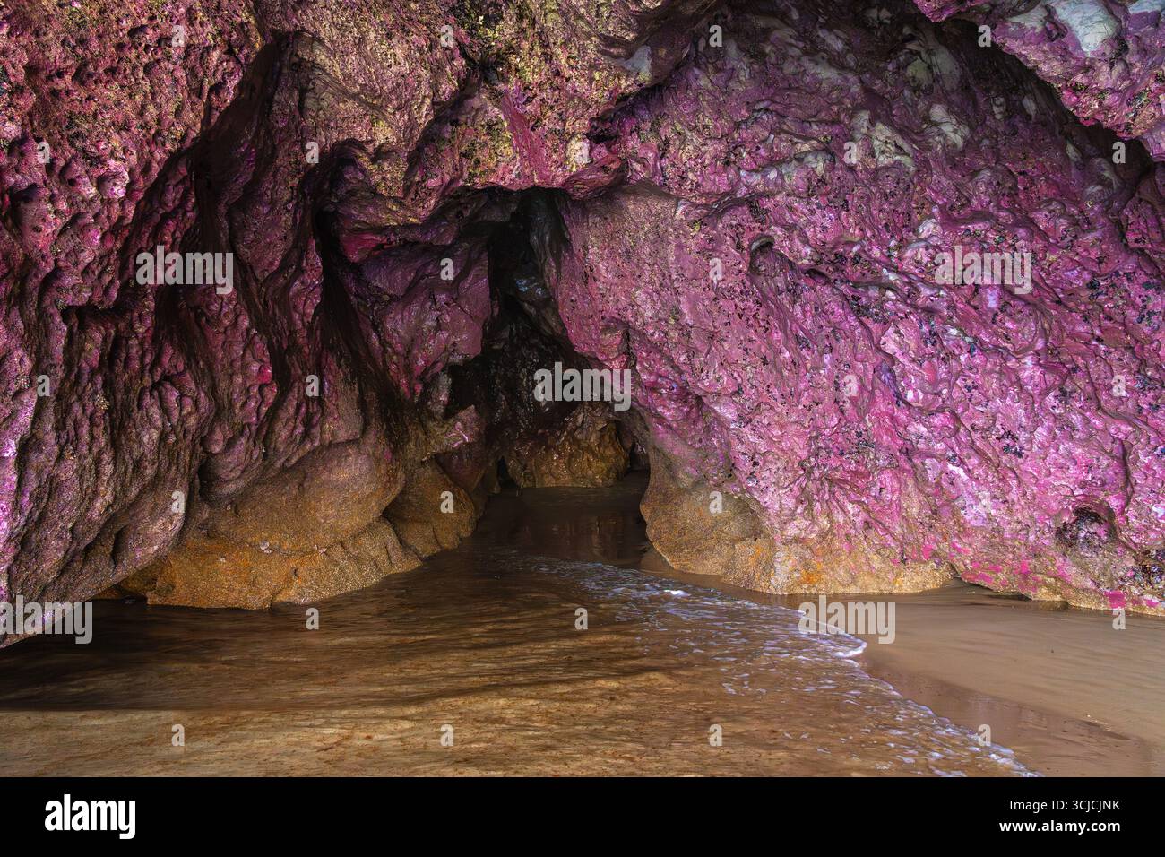 Erkunden Sie die komplizierten Details einer atemberaubenden Höhle mit leuchtenden rosa und violetten Felsstrukturen. Das Zusammenspiel von Farben und Texturen schafft eine Abstösse Stockfoto