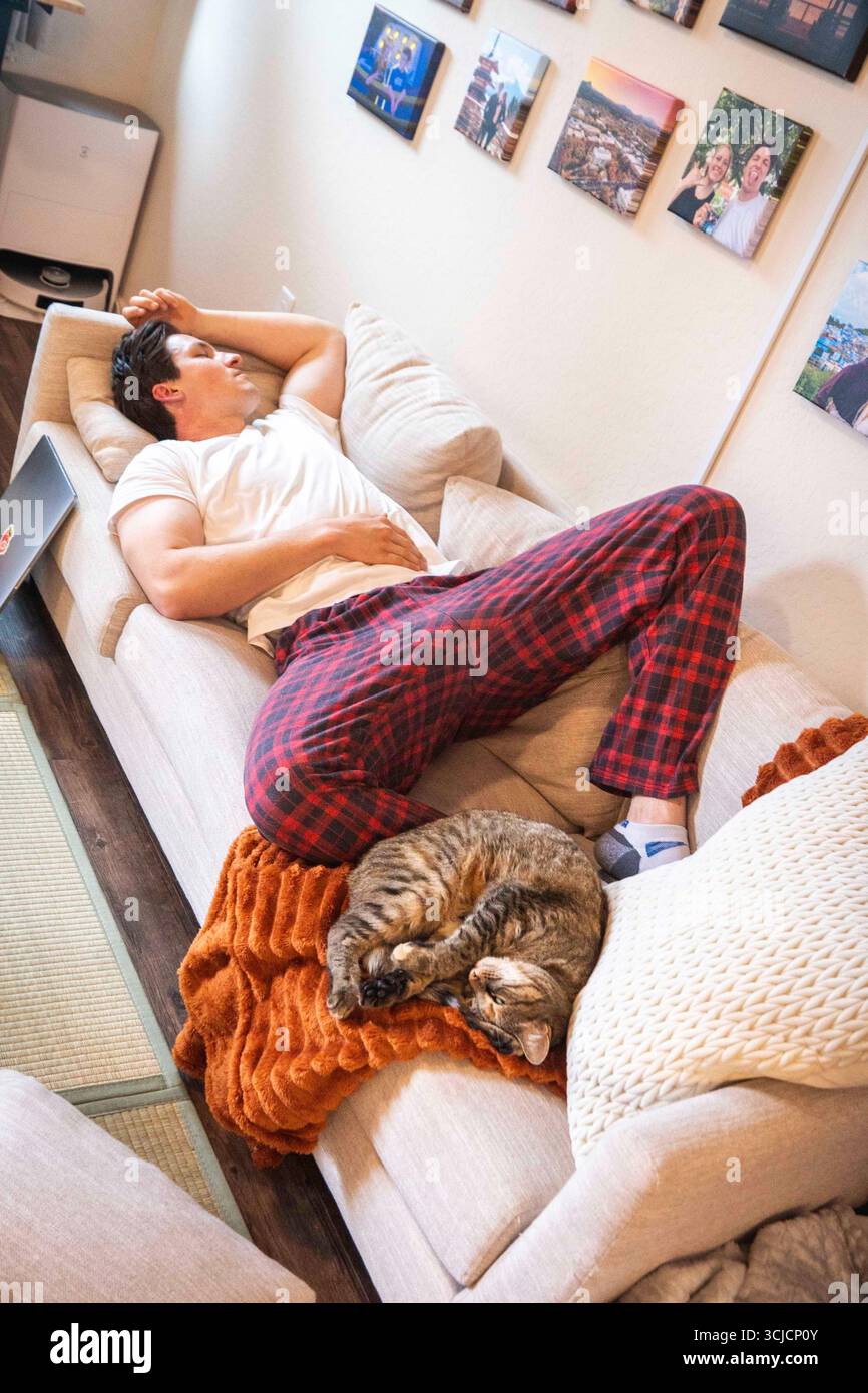 Eine gemütliche Indoor-Szene mit einer Person, die auf einer Couch liegt, in eine Decke gewickelt, mit einer Katze in der Nähe, die Komfort und Entspannung bietet. Stockfoto Eine gemütliche Indoor-Szene mit einer Person, die auf einer Couch liegt, in eine Decke gewickelt, mit einer Katze in der Nähe, die Komfort und Entspannung bietet. Stockfoto