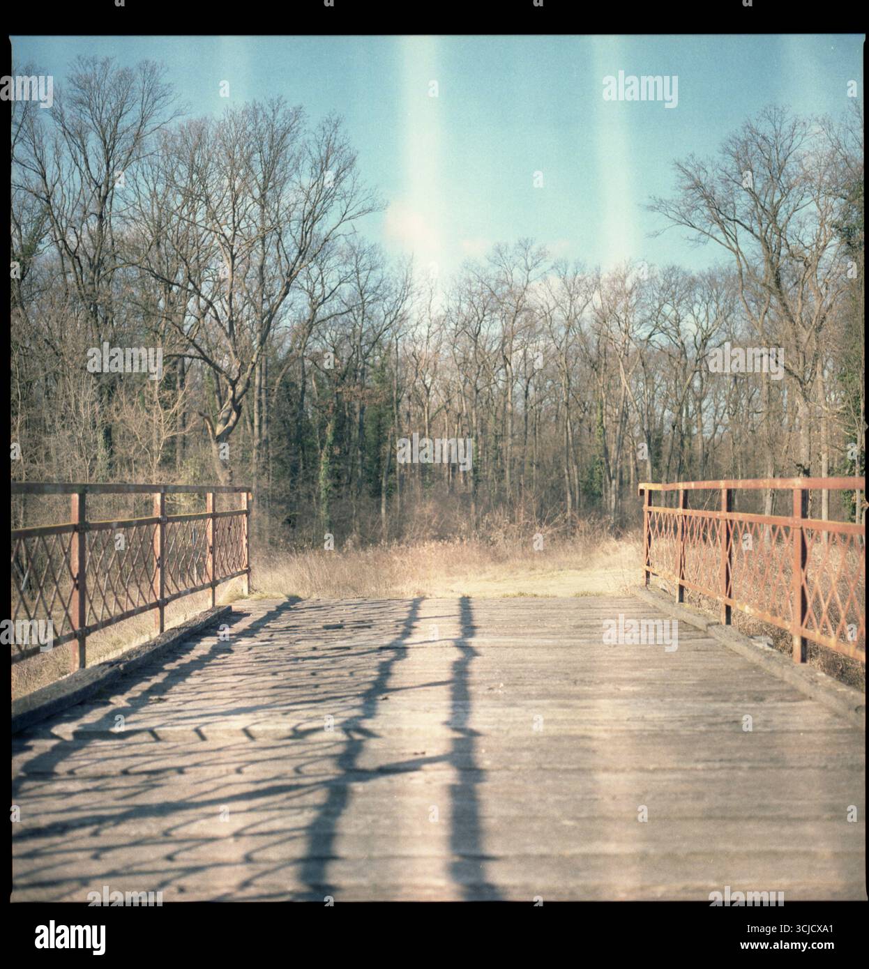 Alte Flussbrücke auf einem Vojvodina-Fluss. Stockfoto