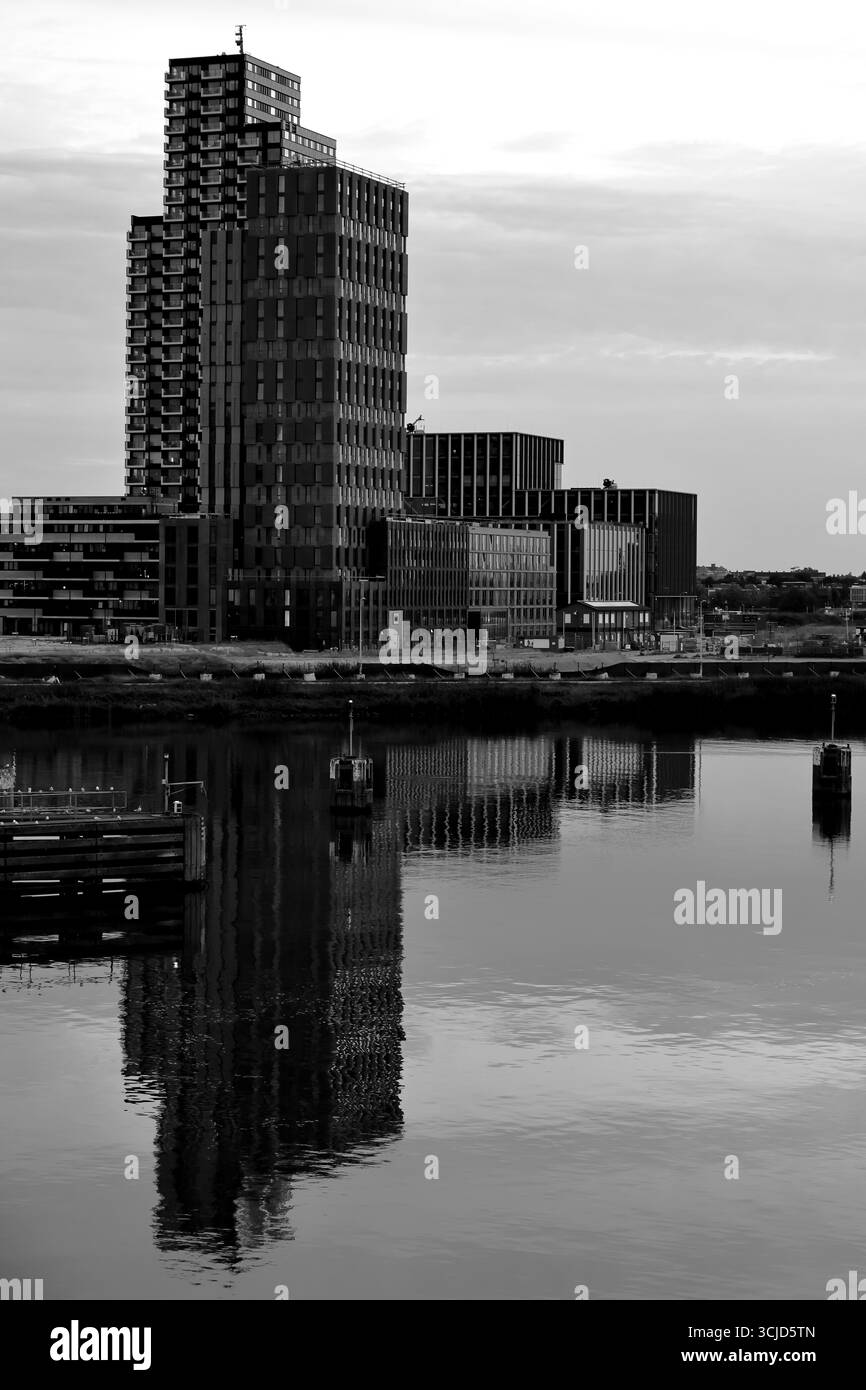 Schwarz-weiß-Blick auf den Justus-Turm und den Hogeschool Inholland Campus mit Reflexionen über das ruhige Hafenwasser bei Sonnenuntergang, Amsterdam, Niederlande. Stockfoto