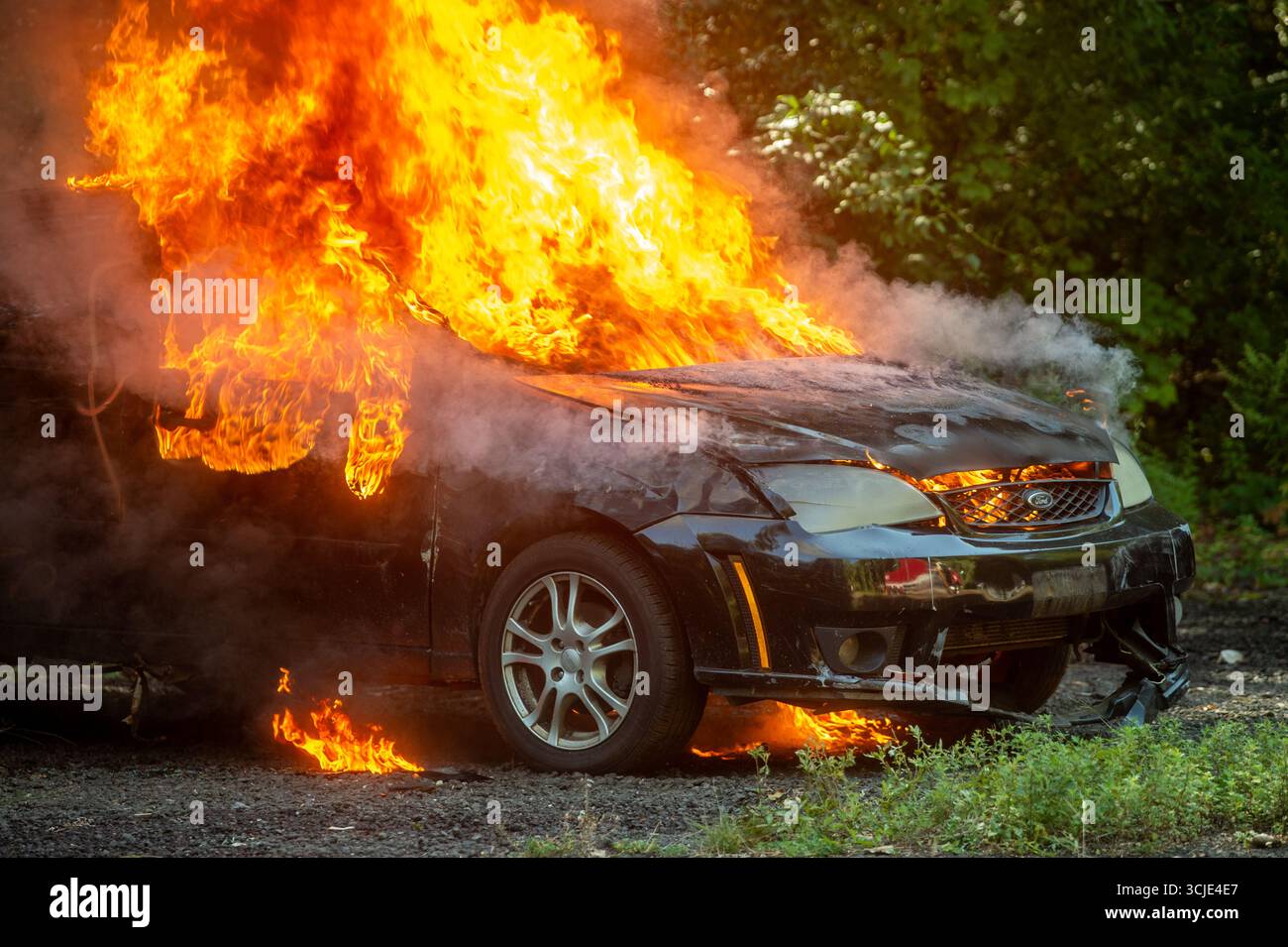 Feuerwehrleute bekämpfen ein brennendes Autofeuer mit starkem Rauch und Flammen und zeigen Notfallmaßnahmen, Brandschutz und dramatische Rettungsaktionen. Stockfoto